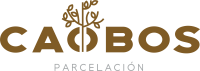 Caobos